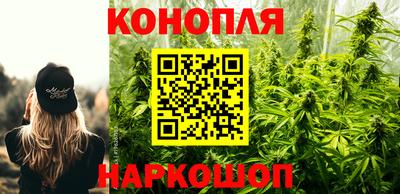кокс Краснодар
