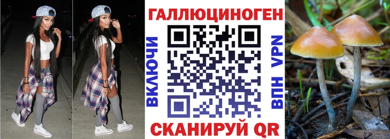 Галлюциногенные грибы прущие грибы  Клинцы 